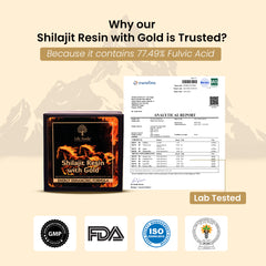 Shilajit Resin with Gold