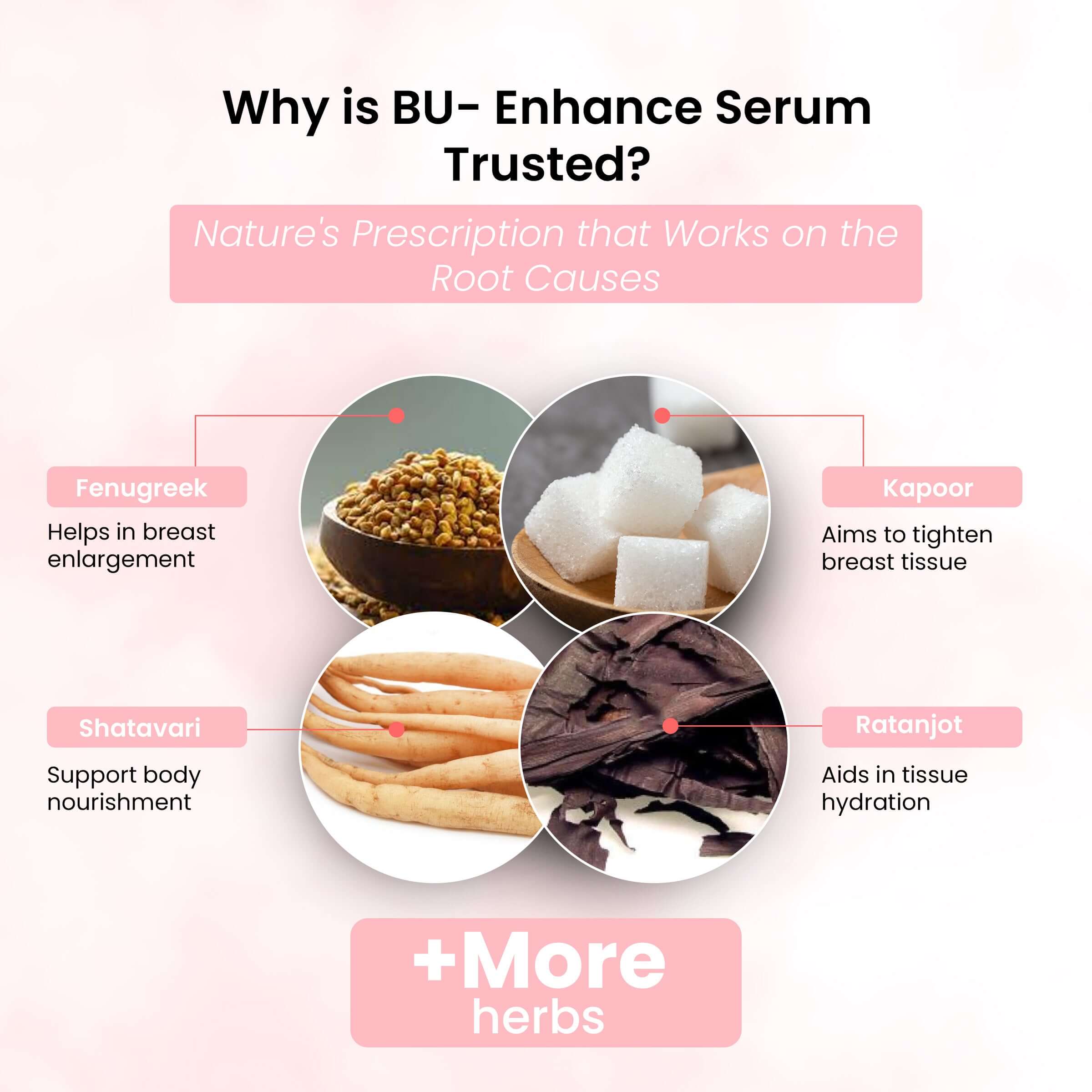 Life Aveda BU-Enhance Serum Ingredients