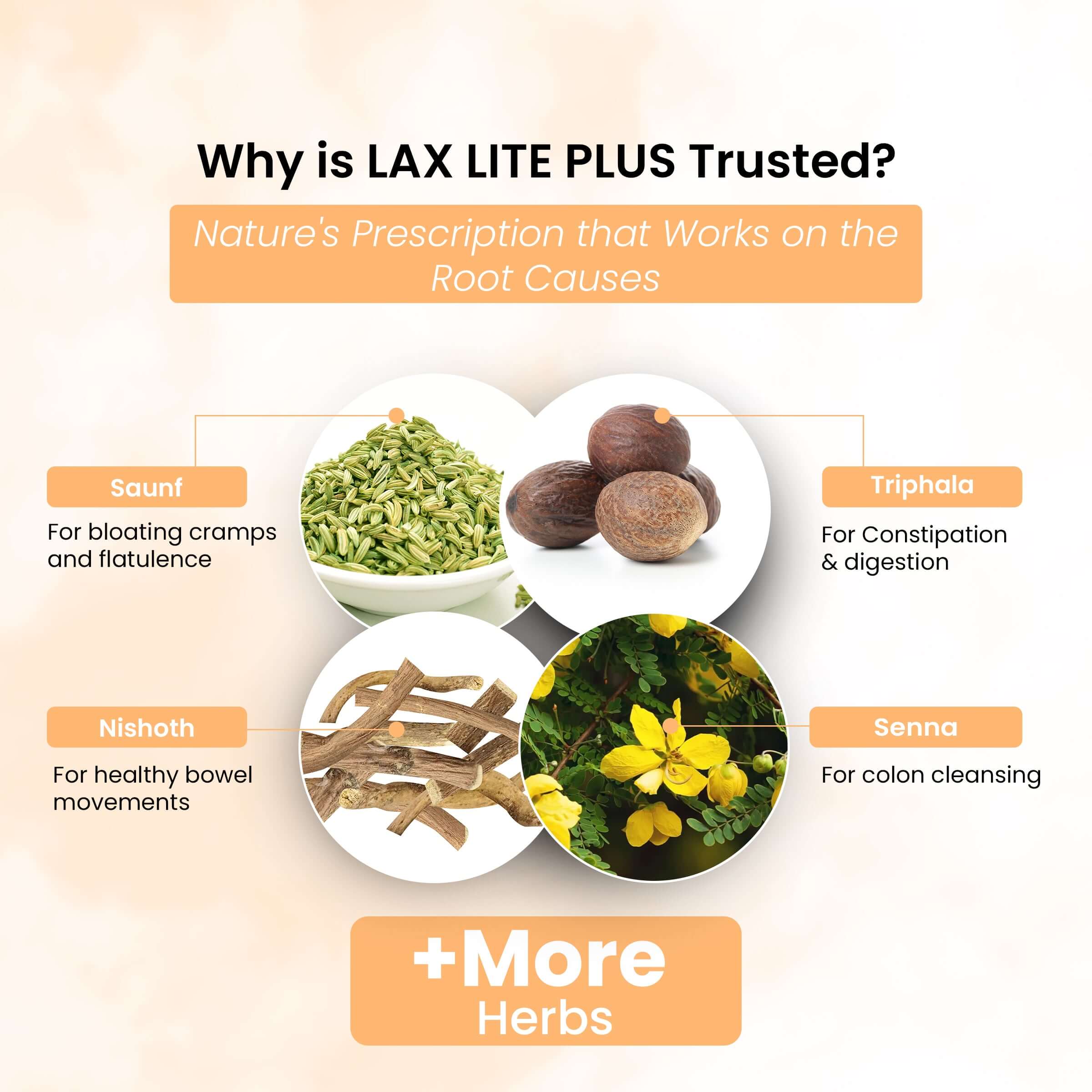 Life Aveda Lax Lite Plus Ingredients