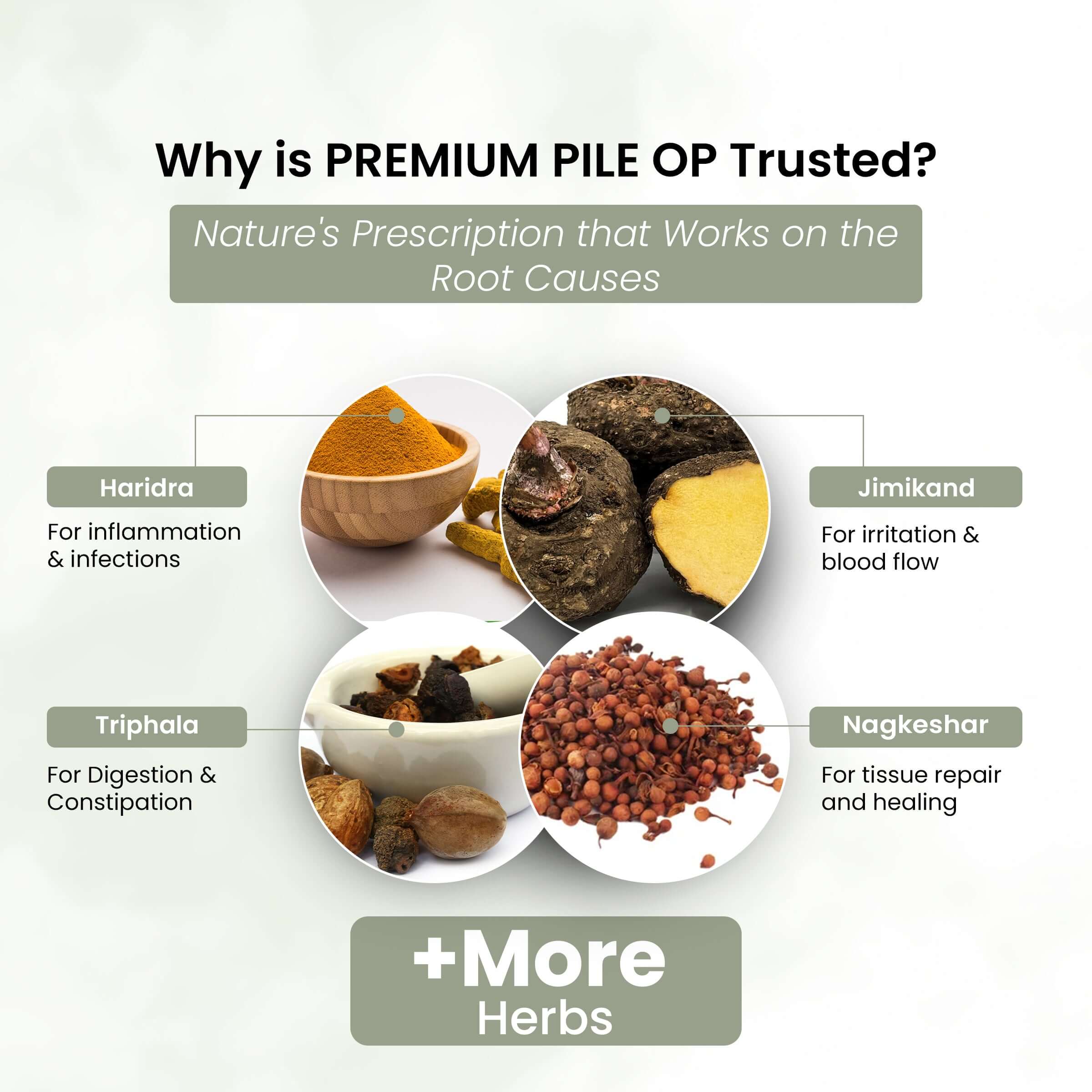 Life Aveda Premium Pile Op Ingredients