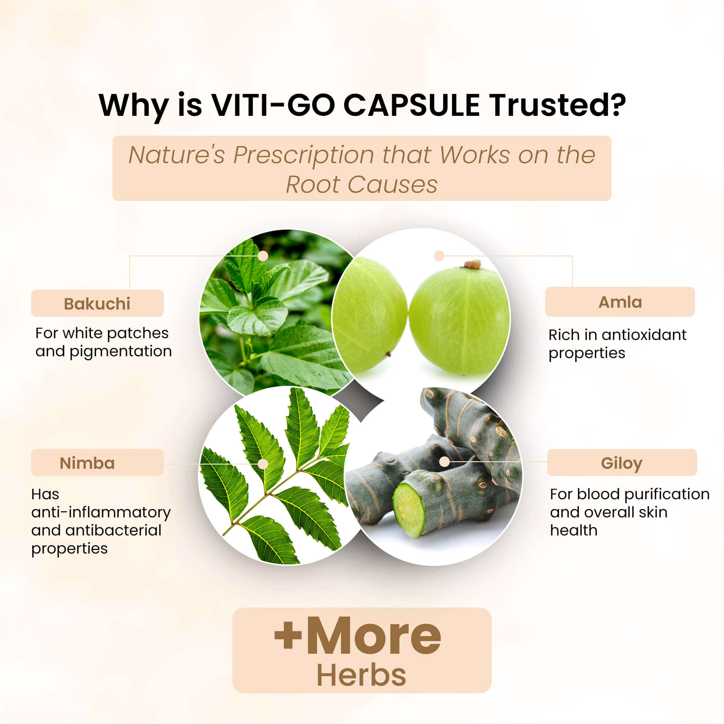 Life Aveda Viti-go Ingredients