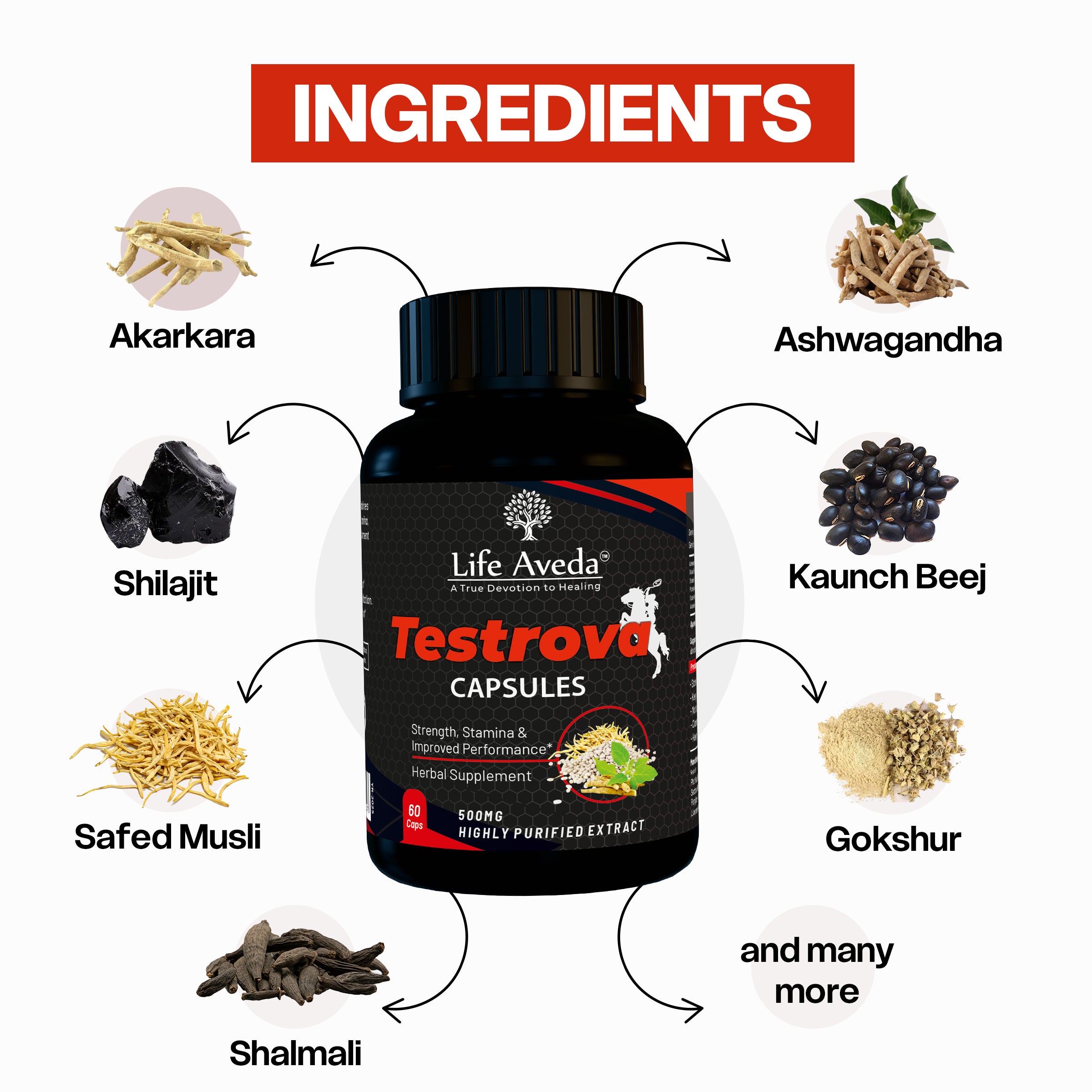 Testrova – Ayurvedic Testosterone Support for Men
