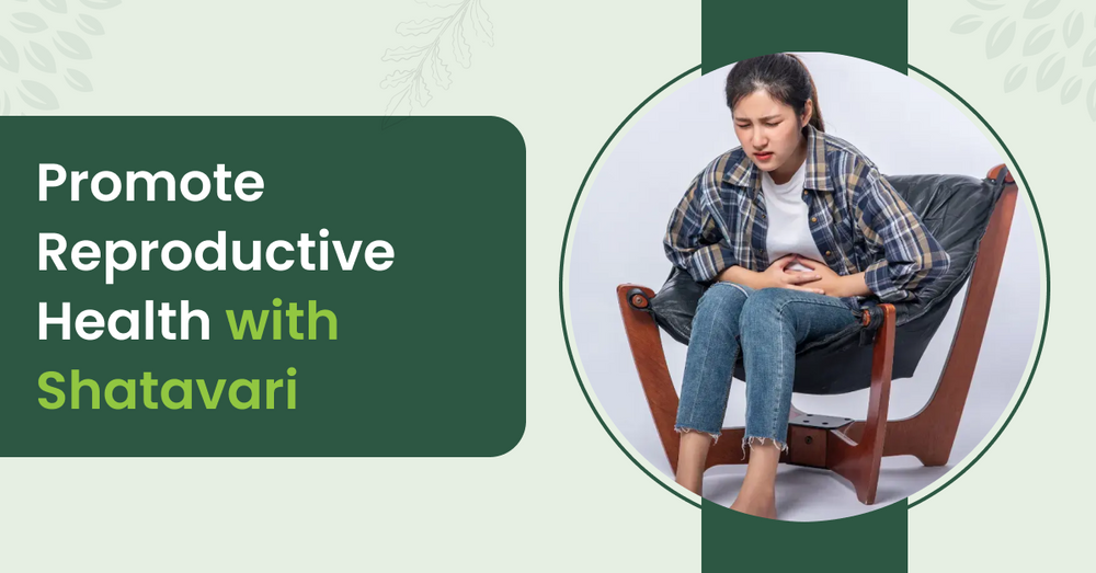 Shatavari Benefits for Women: What are the uses?