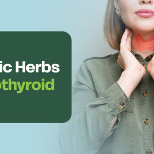 Ayurvedic Herbs for Hypothyroid