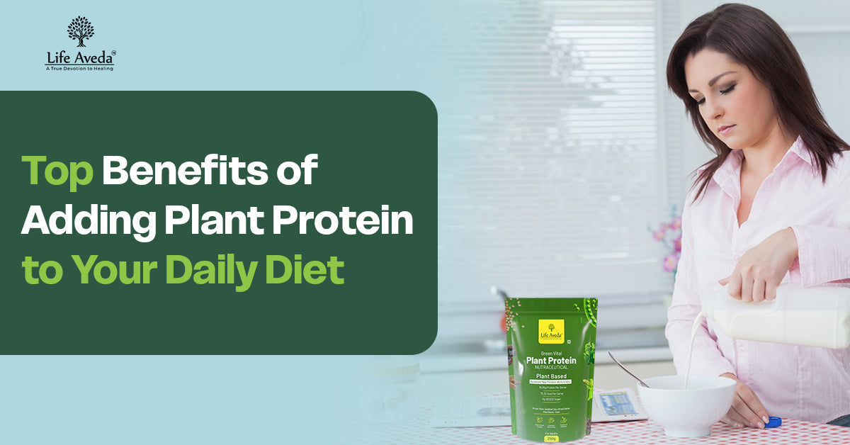 organic plant protein powder