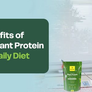 organic plant protein powder
