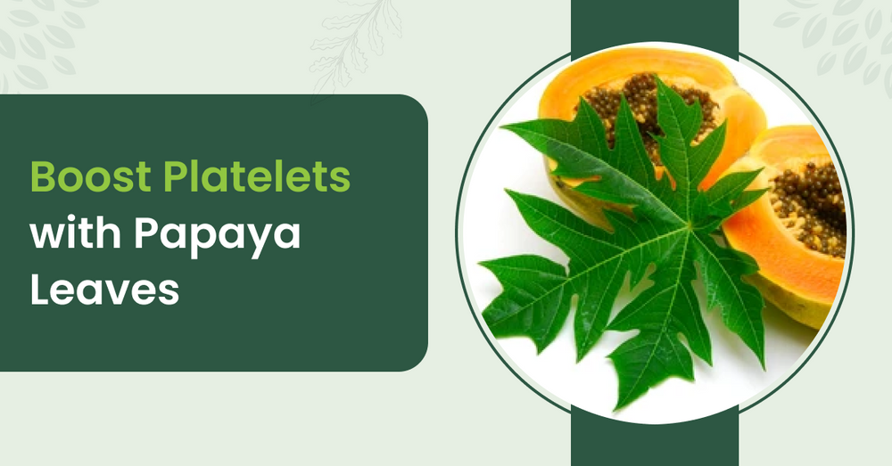 Can Papaya Leaves Help Increase Platelet Count?