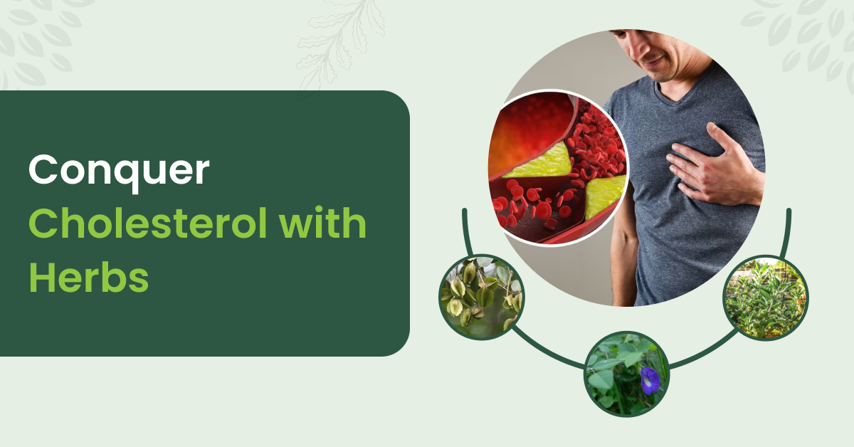 The Great Cholesterol Conquest: How Herbs Can Help You Win the Battle?