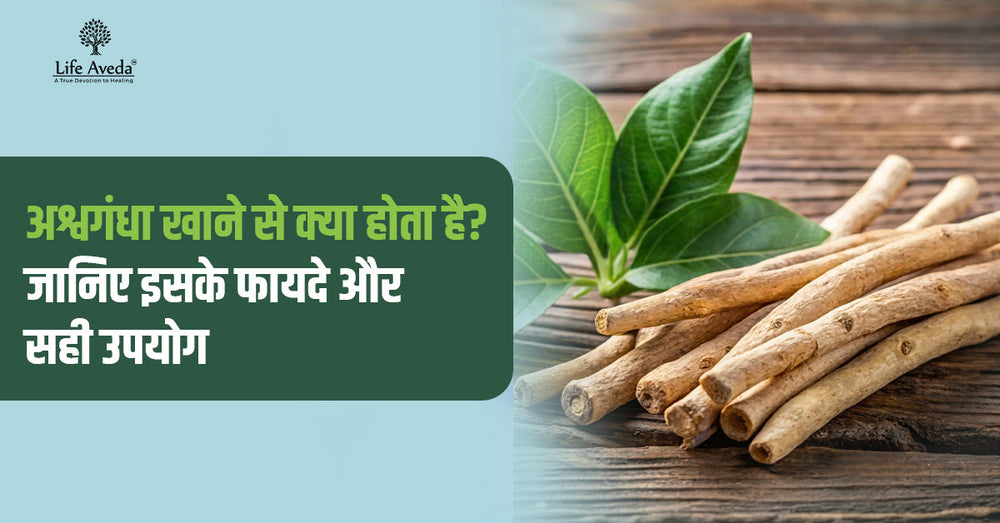 अश्वगंधा खाने से क्या होता है? जानिए इसके फायदे और सही उपयोग