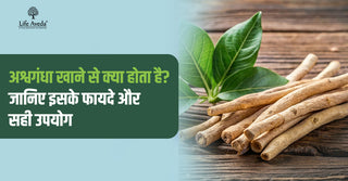अश्वगंधा खाने से क्या होता है? जानिए इसके फायदे और सही उपयोग