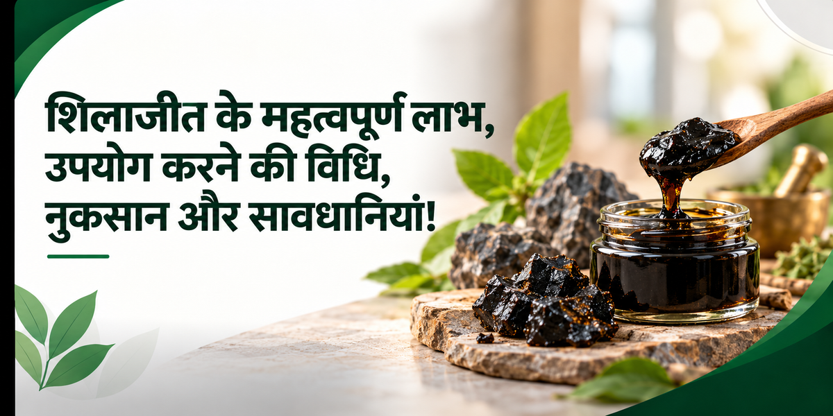 शिलाजीत के महत्वपूर्ण लाभ, उपयोग करने की विधि, नुकसान और सावधानियां!