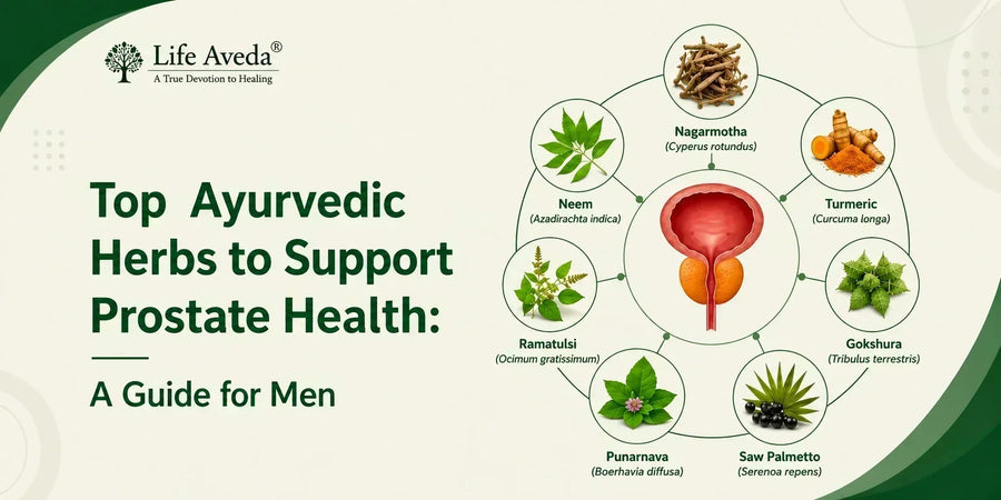 Top Ayurvedic Herbs to Support Prostate Health: A Guide for Men