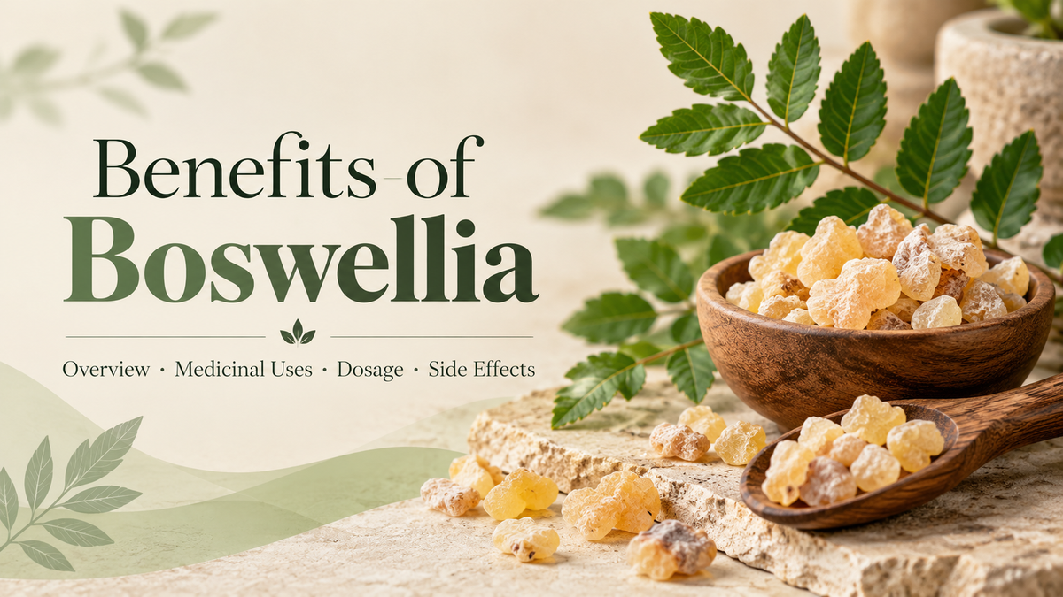 Benefits of Boswellia, Overview, Medicinal uses and Dosage