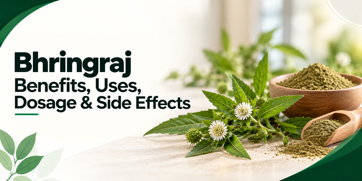 Bhringraj Benefits, Uses, Dosage & Side Effects