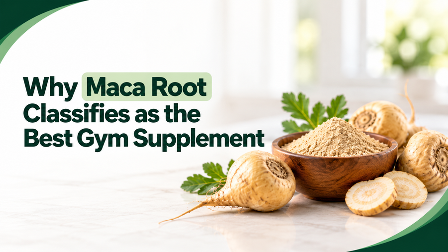 Why Maca Root Classifies as the Best Gym Supplement