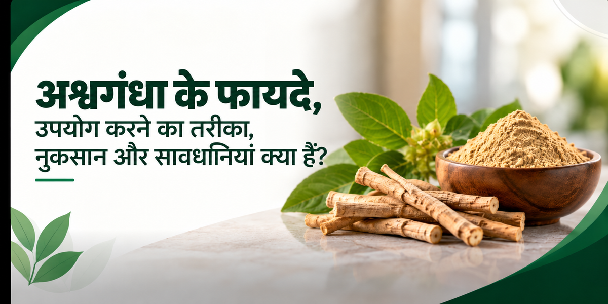 अश्वगंधा के फायदे, उपयोग करने के का तरीका, नुकसान और सावधानियां क्या हैं?