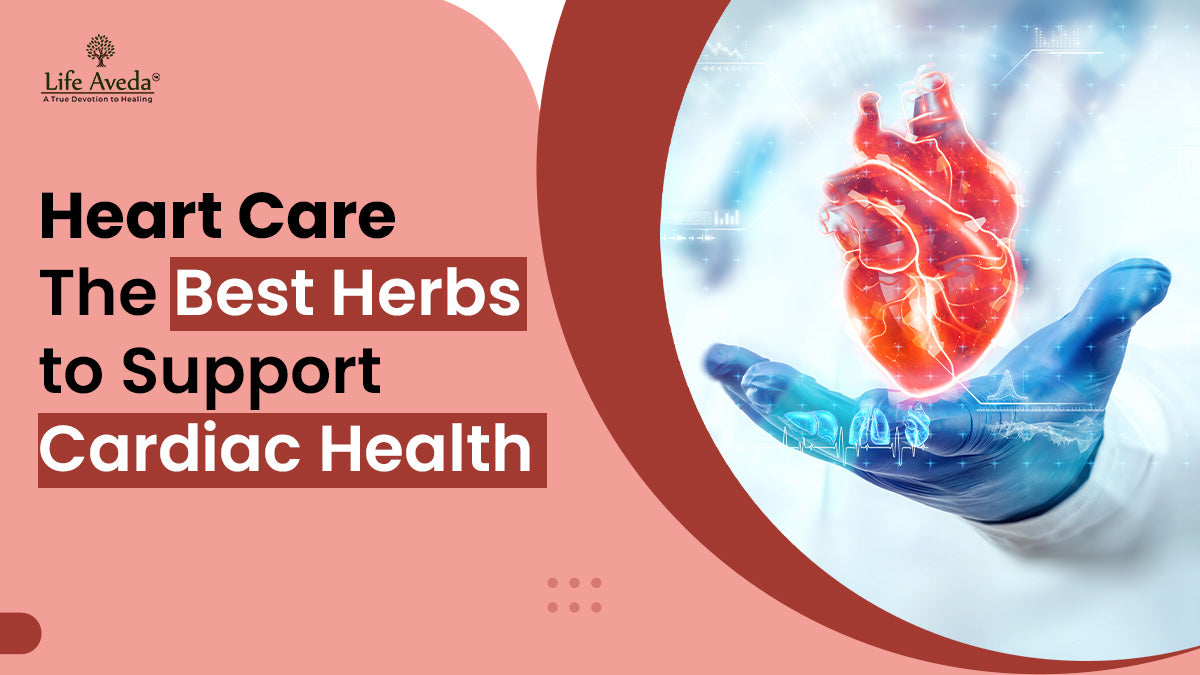 Heart Care: The Best Herbs to Support Cardiac Health