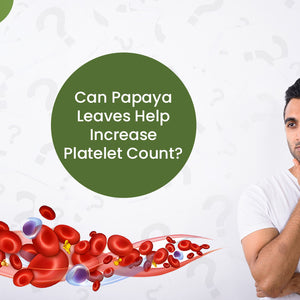 Can Papaya Leaves Help Increase Platelet Count?