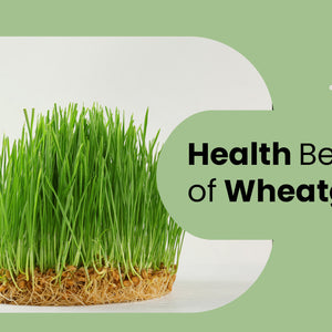 Health Benefits of Wheatgrass