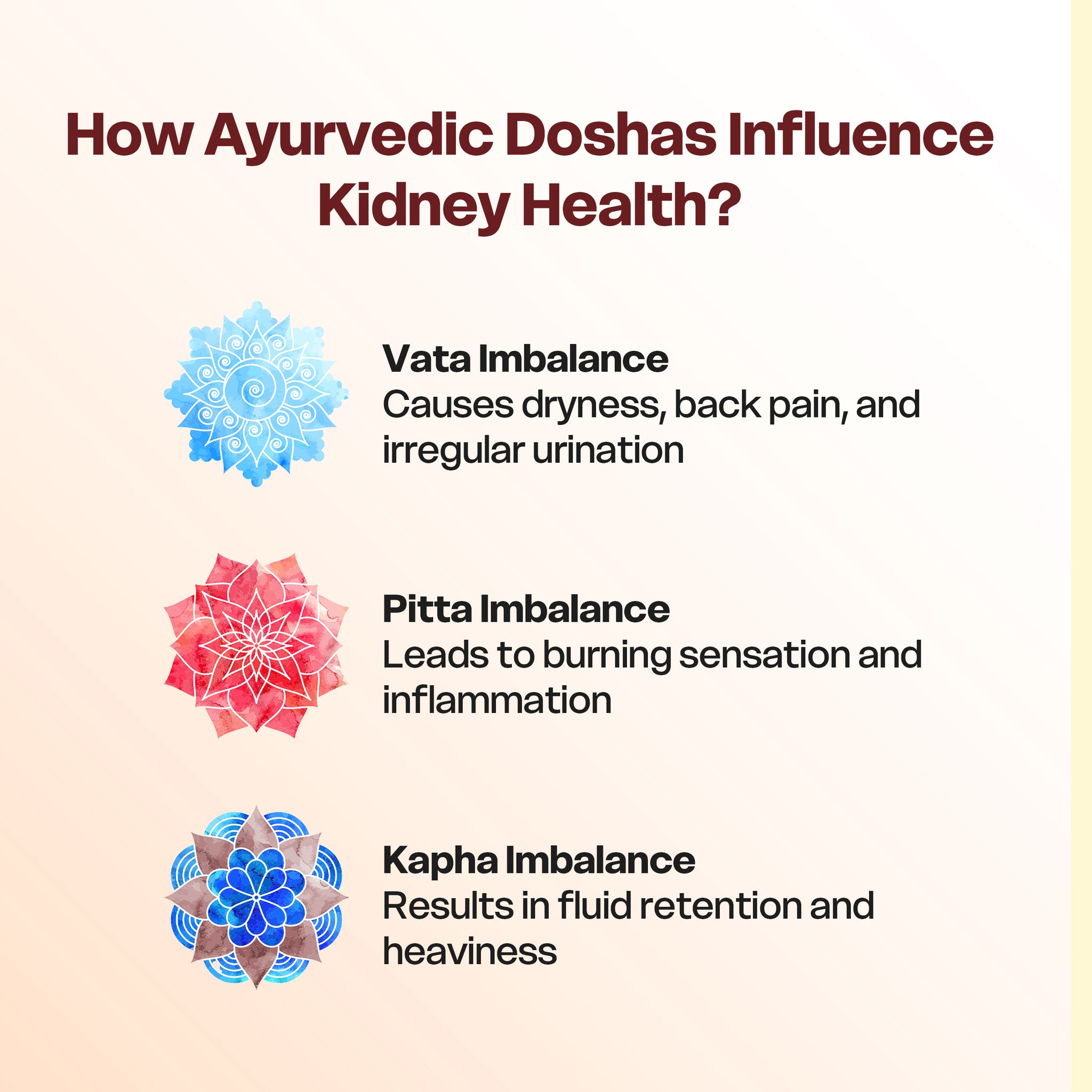 Natural Solution for Kidney Health — Kidney Care Pack