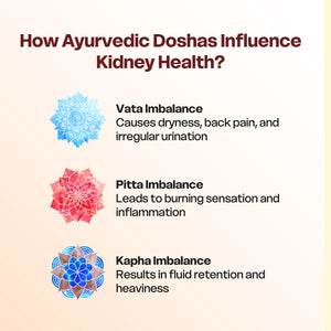 Natural Solution for Kidney Health — Kidney Care Pack