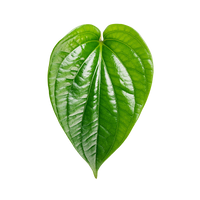 Betel