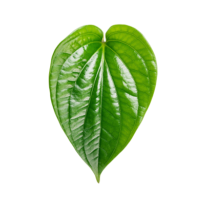 Betel