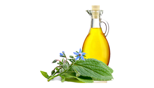 Borage Oil