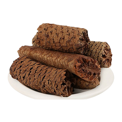 Gajpippali