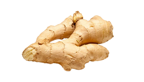 Ginger