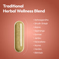 Glyco Rakshak – Ayurvedic Support for Glucose Metabolism, Daily Vitality & Overall Balance