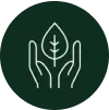 Holistic Wellness For Mind-Body Balance