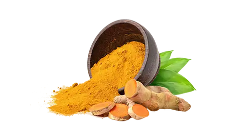 Turmeric Extract