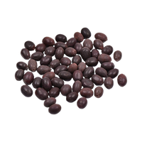 Kamalgatta