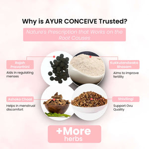 Life Aveda Ayur Conceive Ingredients