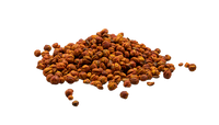 Maalkangani Oil