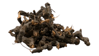 Nagarmotha