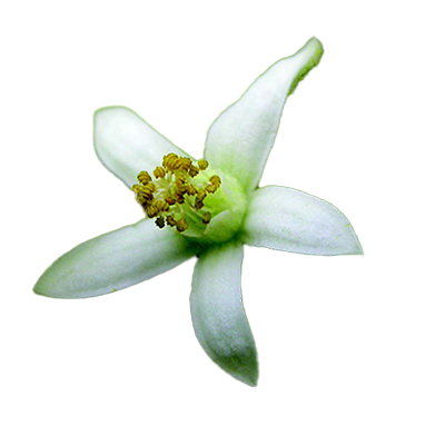 Nagbala