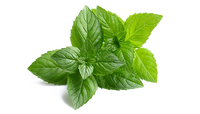 Neem