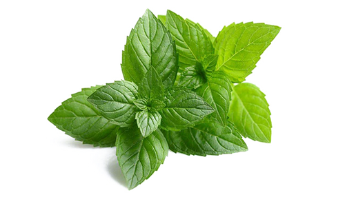 Neem