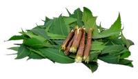 Neem