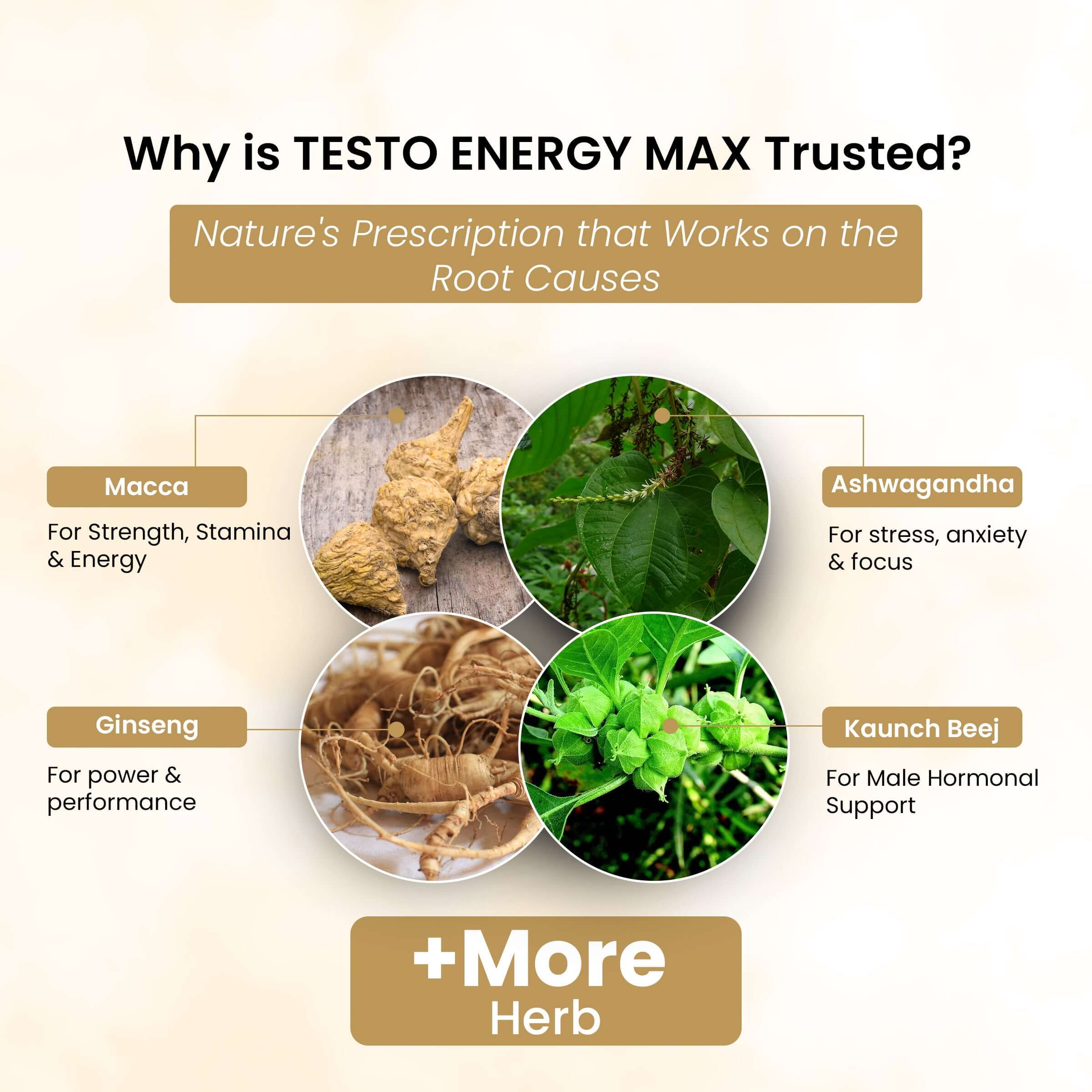 Testo Energy Max