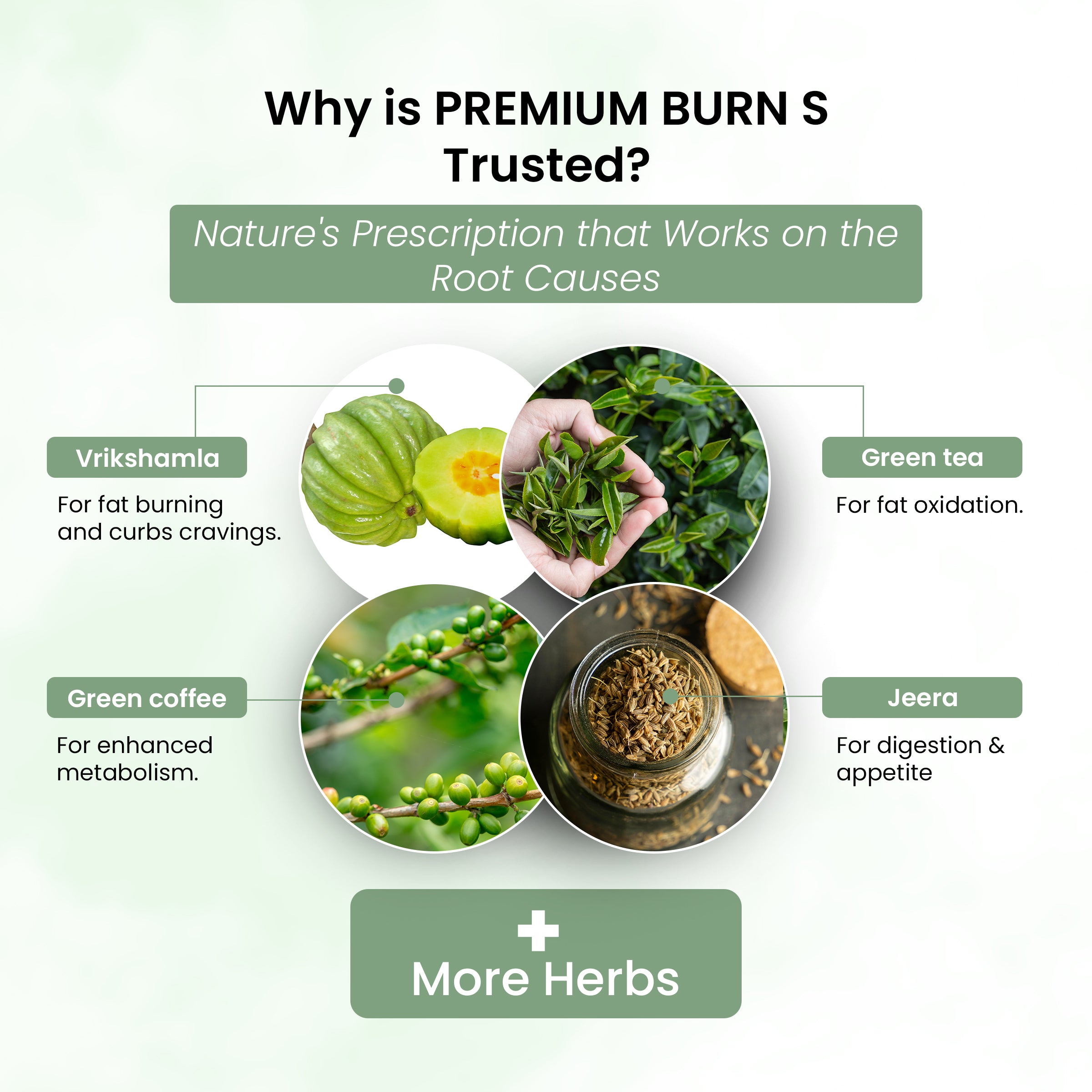 Premium Burn S