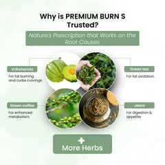 Premium Burn S