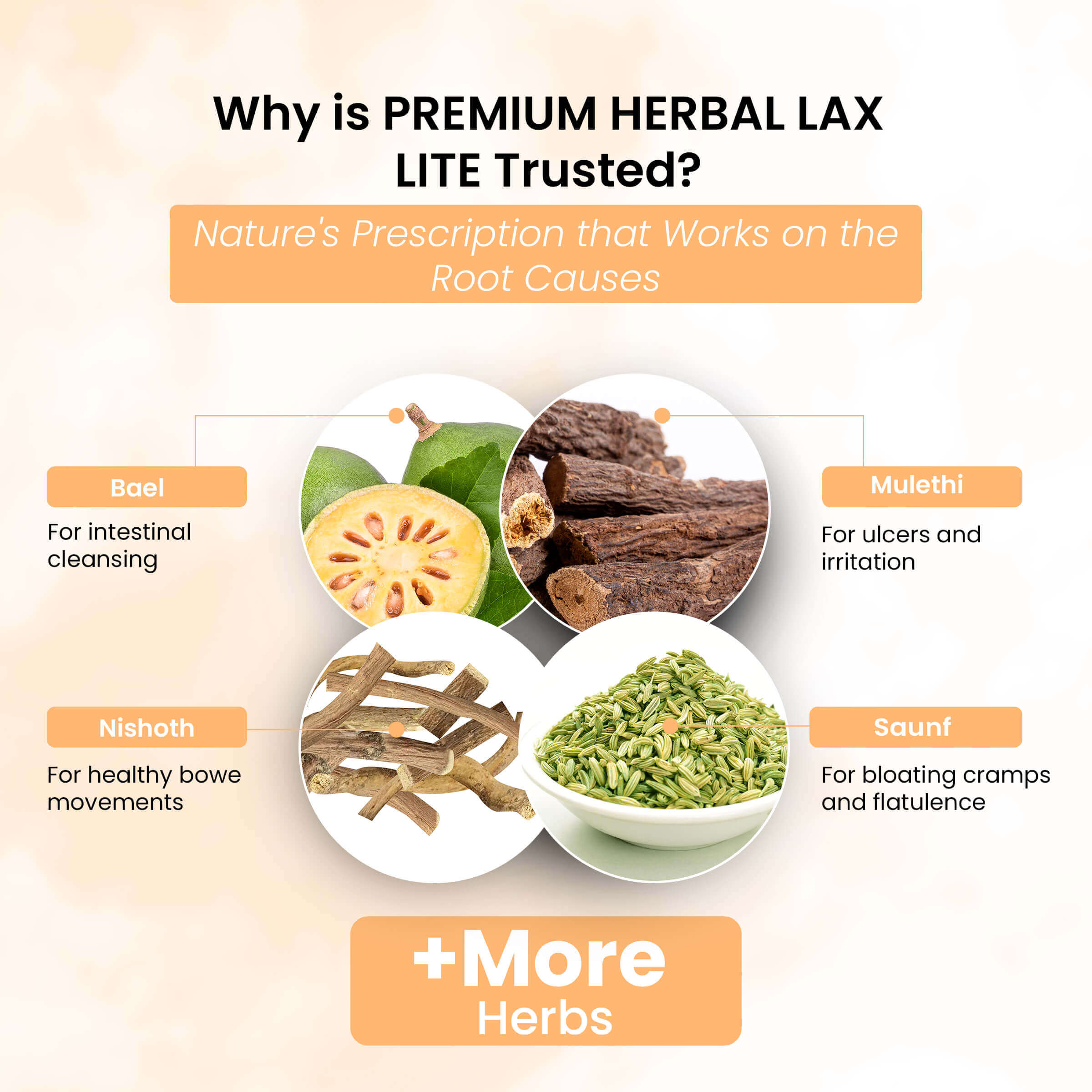 Life Aveda Premium Herbal Lax Lite Ingredients