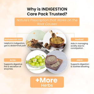 Life Aveda Indigestion Care Pack Ingredients