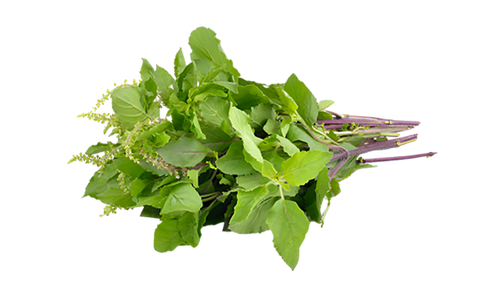 Tulsi