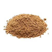 Vang Bhasma