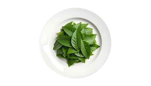 Vasaka