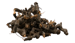 Nagarmotha
